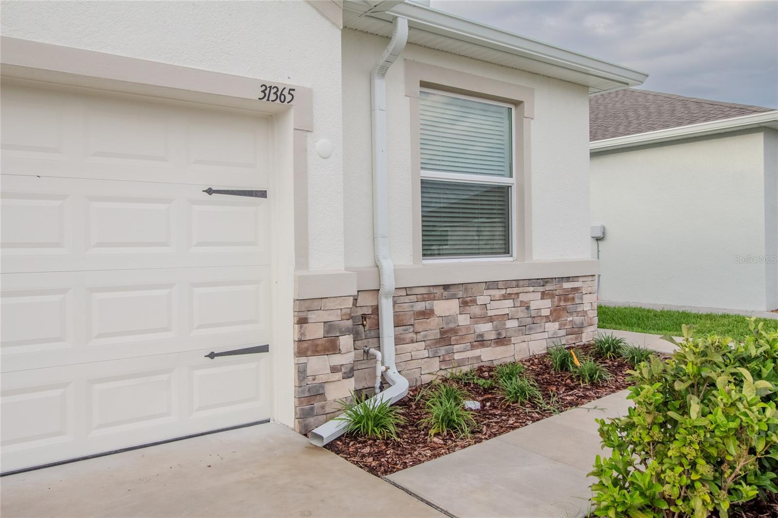 31365 PAPER BIRCH ST, WESLEY CHAPEL, FL, 33545