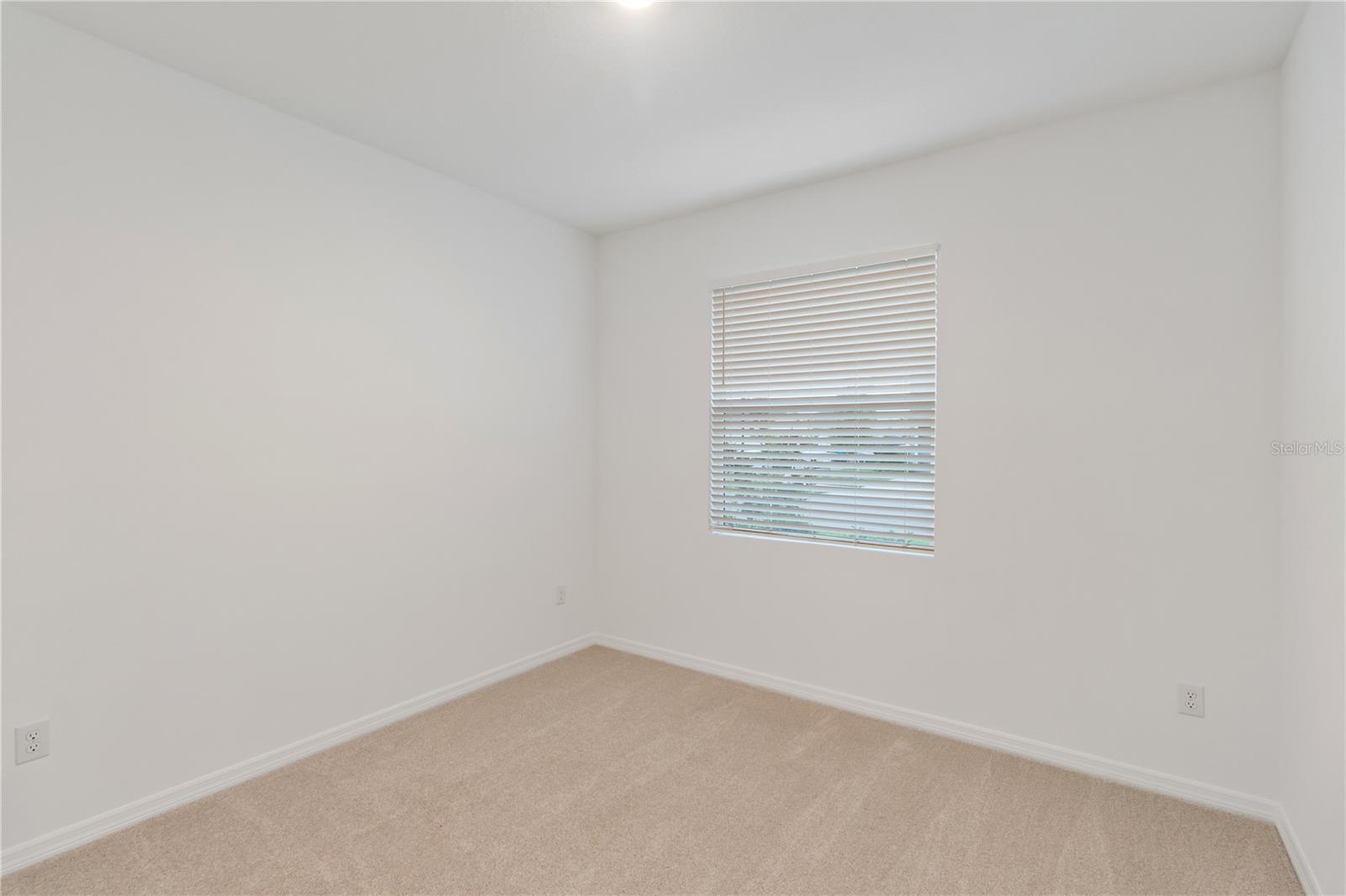 31365 PAPER BIRCH ST, WESLEY CHAPEL, FL, 33545