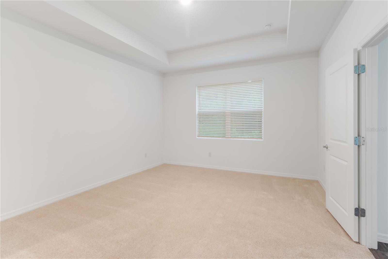 31365 PAPER BIRCH ST, WESLEY CHAPEL, FL, 33545