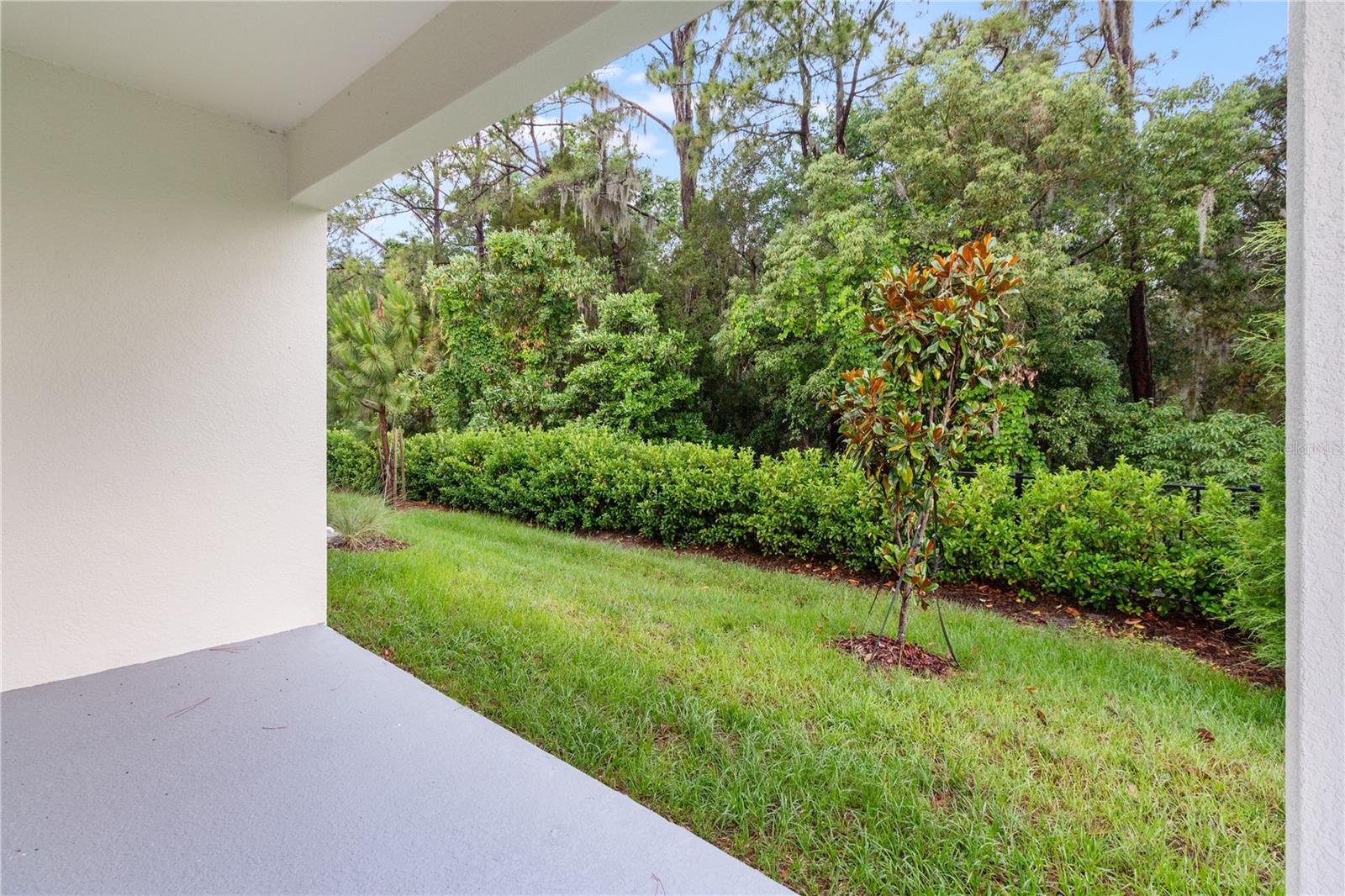 31365 PAPER BIRCH ST, WESLEY CHAPEL, FL, 33545