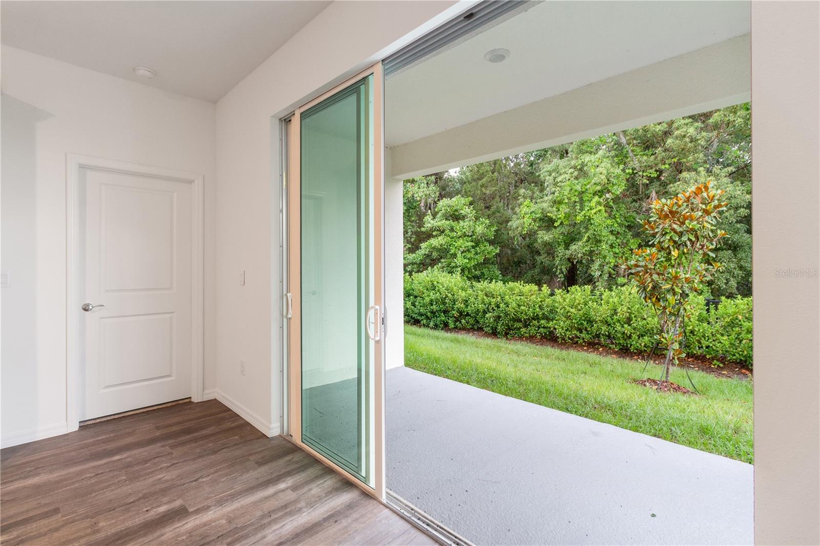 31365 PAPER BIRCH ST, WESLEY CHAPEL, FL, 33545
