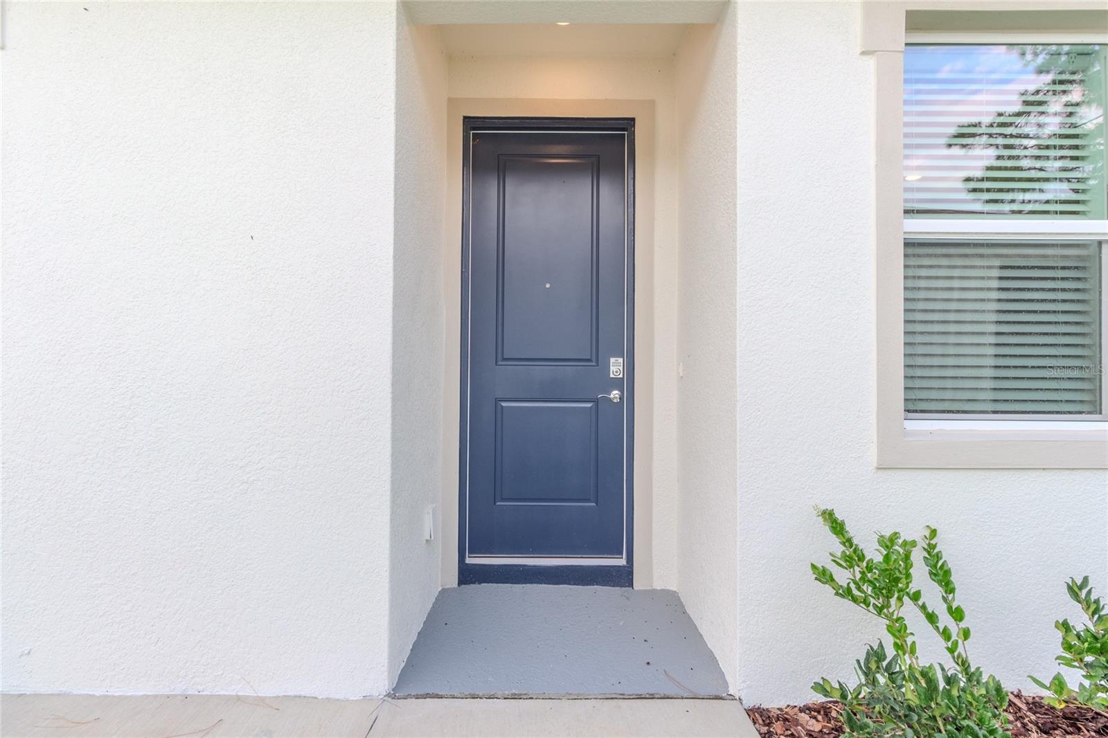 31365 PAPER BIRCH ST, WESLEY CHAPEL, FL, 33545