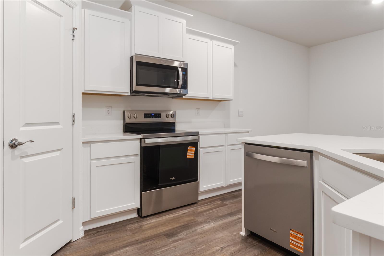 31365 PAPER BIRCH ST, WESLEY CHAPEL, FL, 33545
