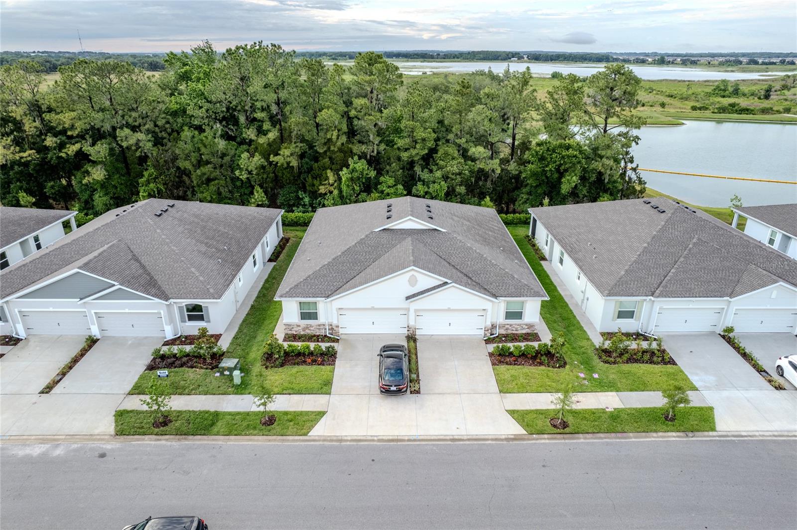 31365 PAPER BIRCH ST, WESLEY CHAPEL, FL, 33545