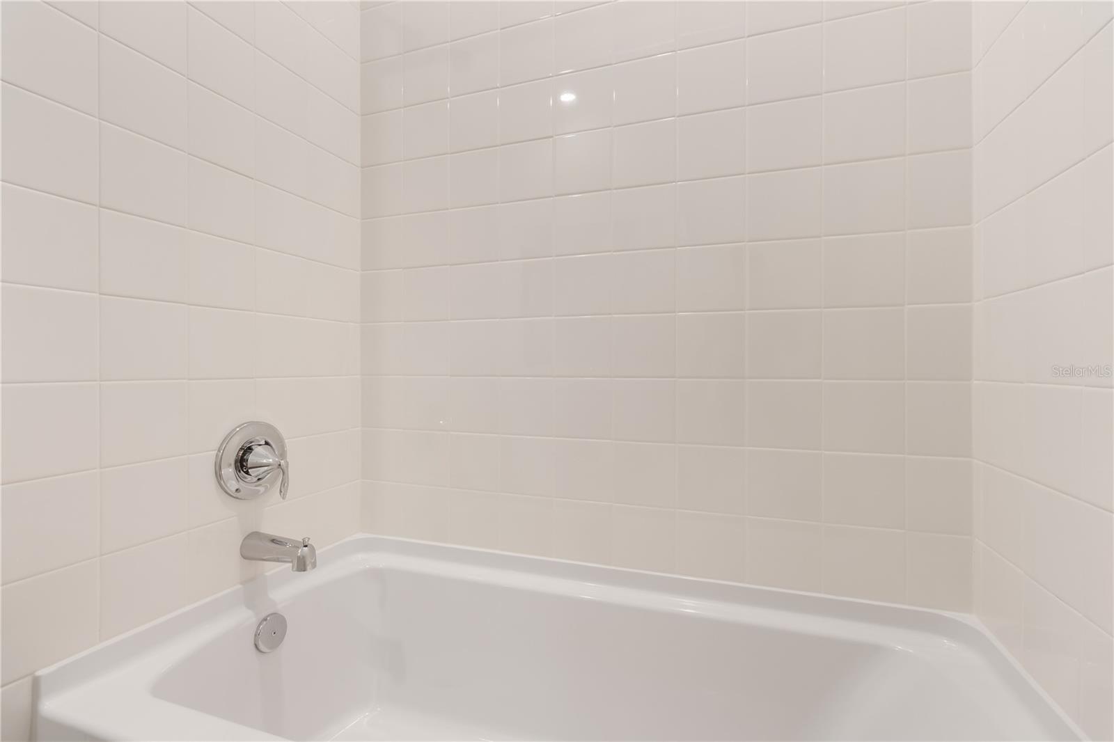 31365 PAPER BIRCH ST, WESLEY CHAPEL, FL, 33545