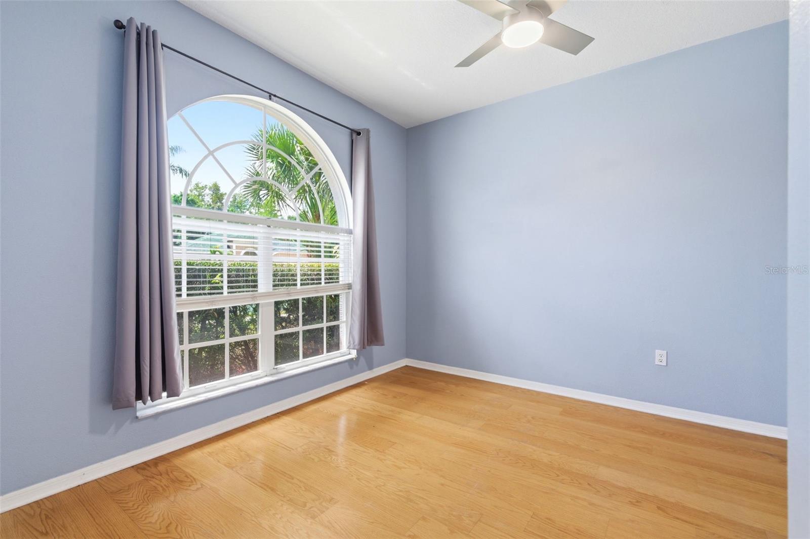 1623 CROSSVINE CT, TRINITY, FL, 34655
