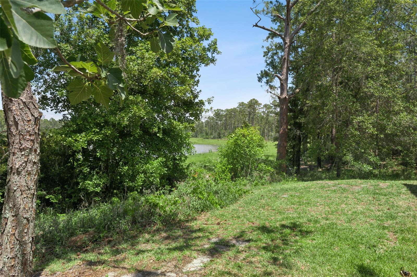 14005 SPARKLING COVE LN, WINDERMERE, FL, 34786