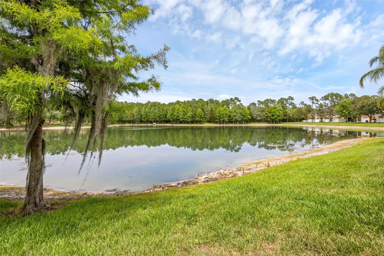 14005 SPARKLING COVE LN, WINDERMERE, FL, 34786
