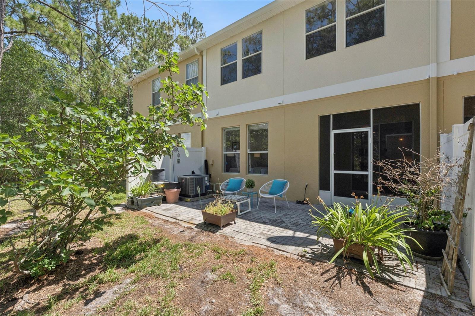 14005 SPARKLING COVE LN, WINDERMERE, FL, 34786