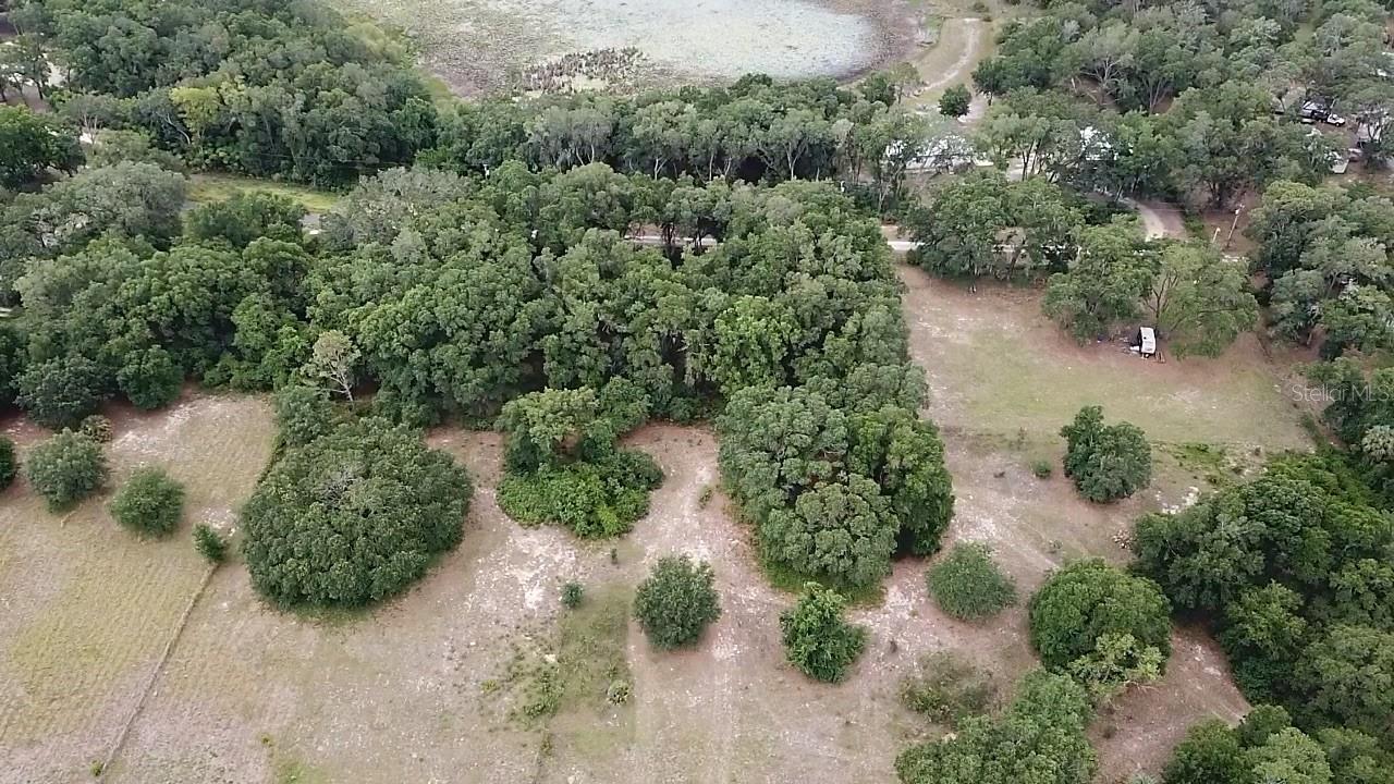 SE 175TH PLACE, UMATILLA, FL, 32784
