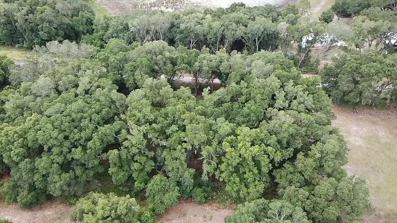 SE 175TH PLACE, UMATILLA, FL, 32784
