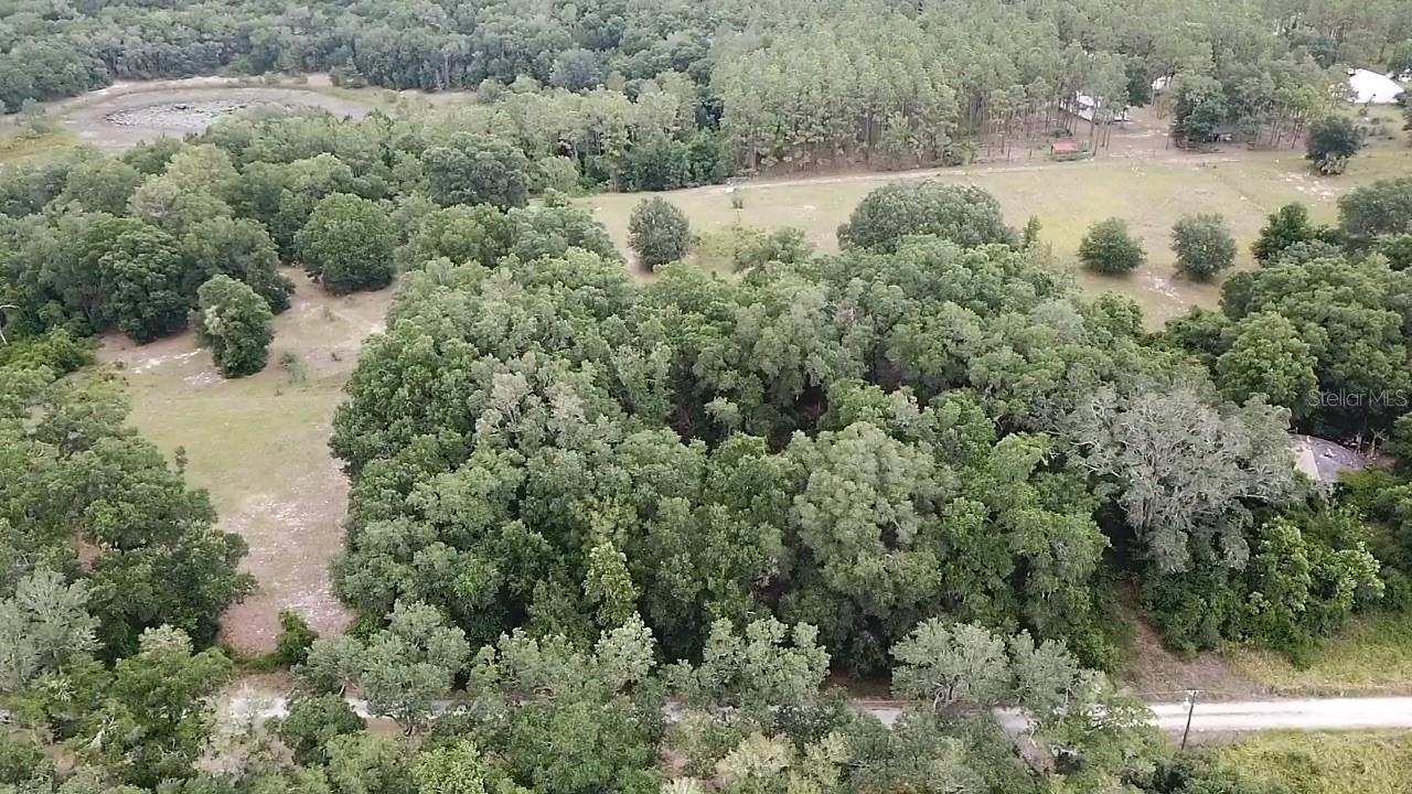 SE 175TH PLACE, UMATILLA, FL, 32784