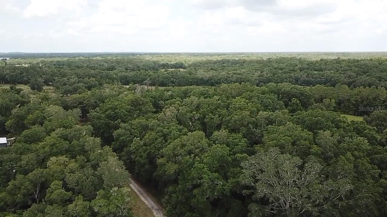 SE 175TH PLACE, UMATILLA, FL, 32784