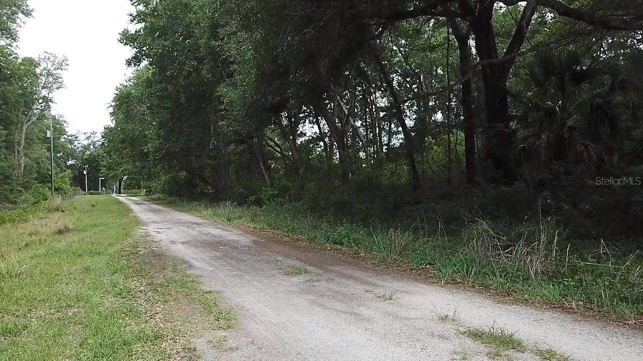 SE 175TH PLACE, UMATILLA, FL, 32784
