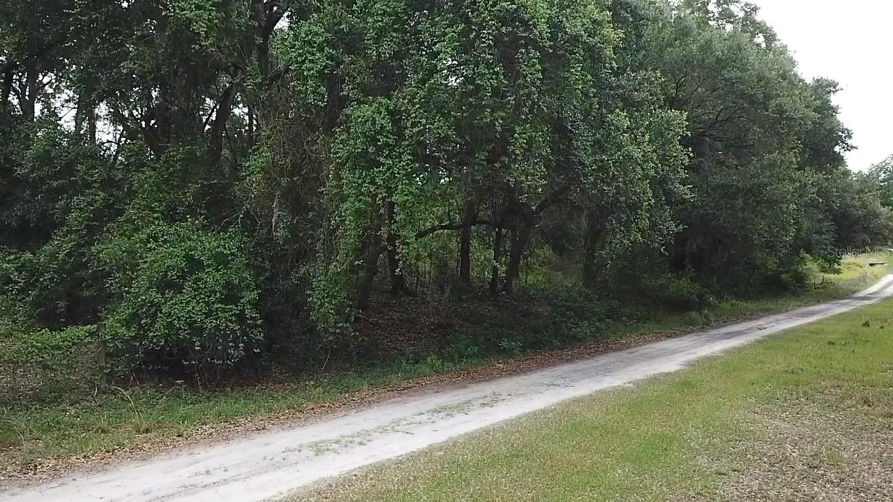 SE 175TH PLACE, UMATILLA, FL, 32784
