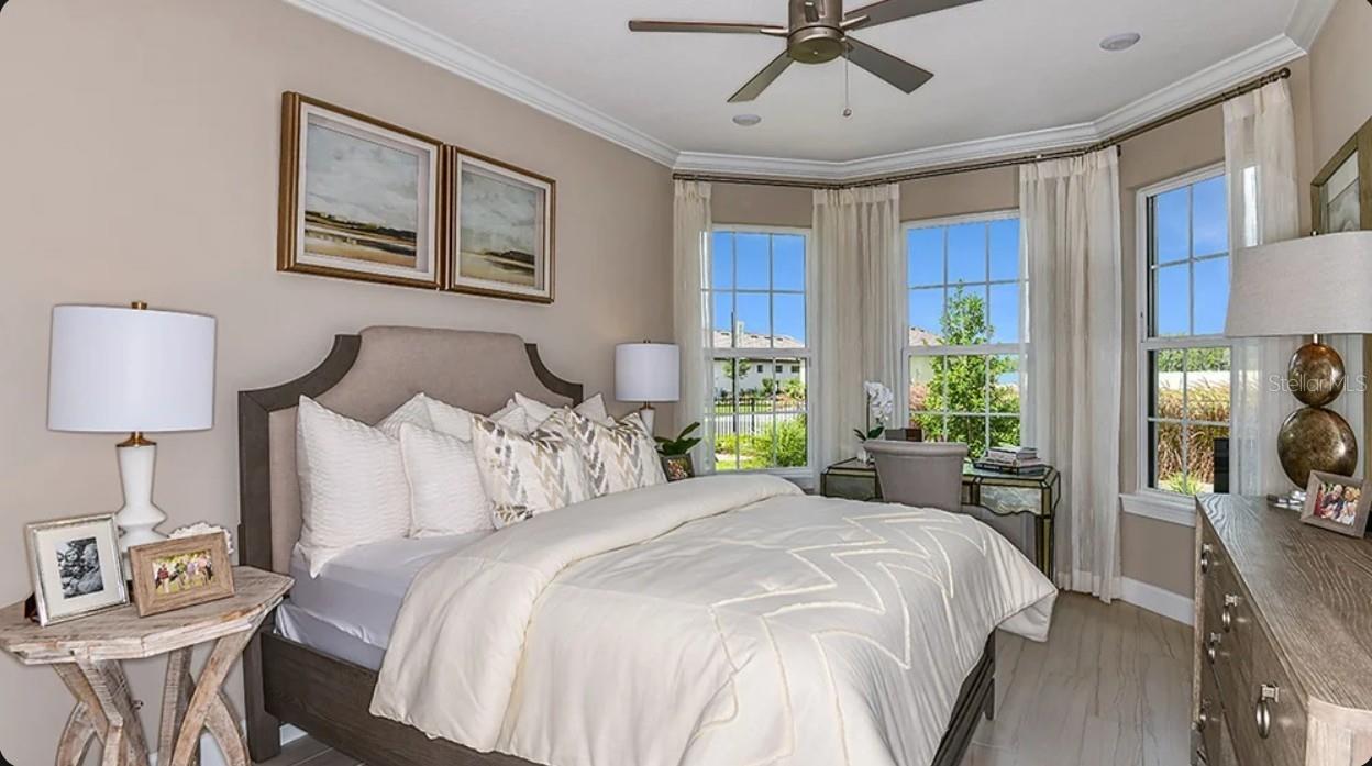 30105 IMPERATI BLVD, WESLEY CHAPEL, FL, 33543
