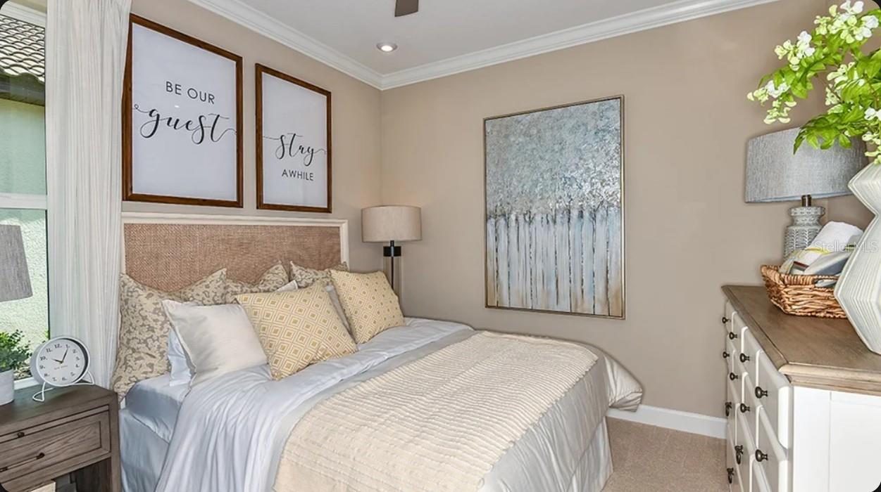 30105 IMPERATI BLVD, WESLEY CHAPEL, FL, 33543