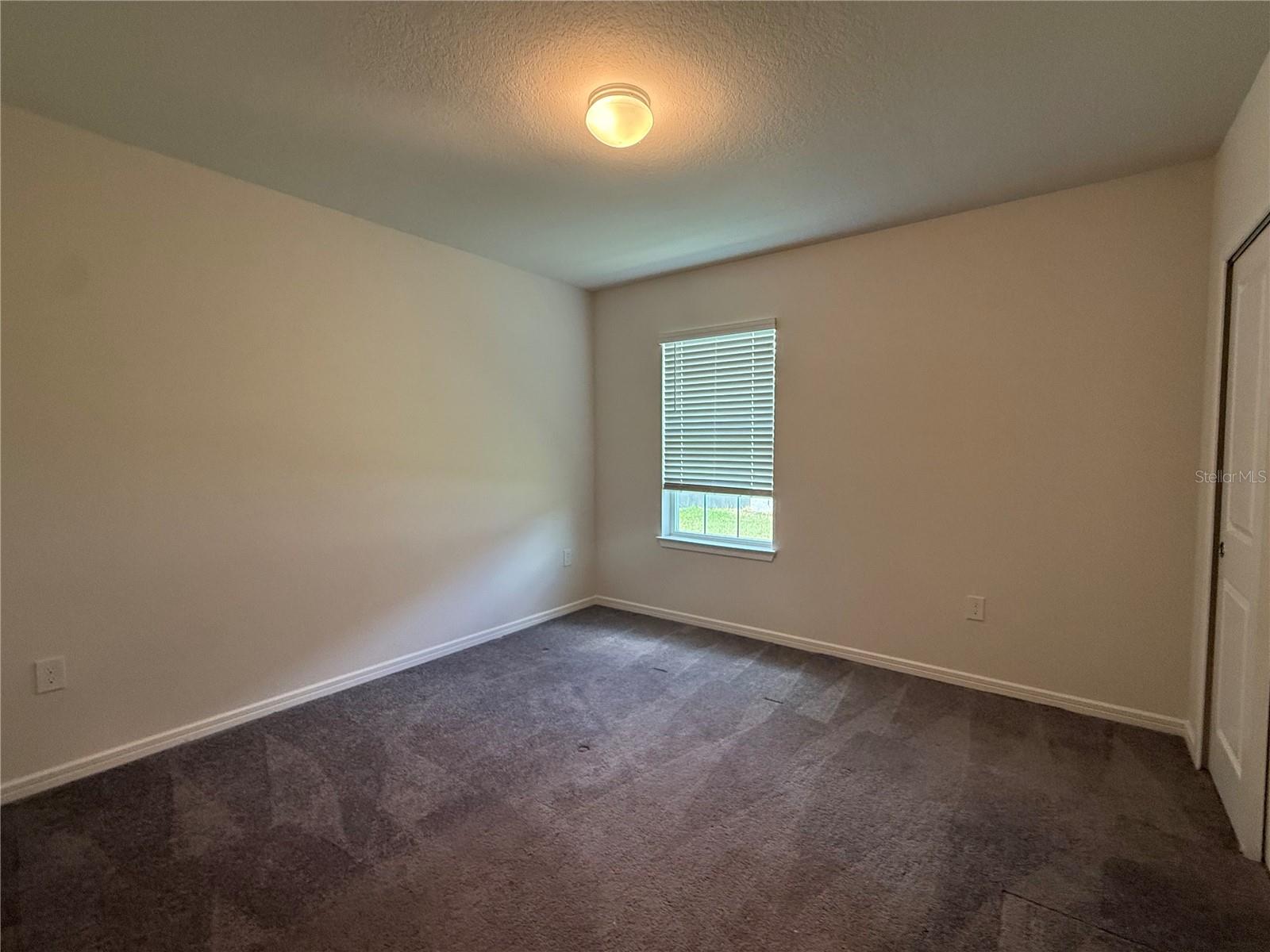 30596 THUNDERBIRD DR, WESLEY CHAPEL, FL, 33545