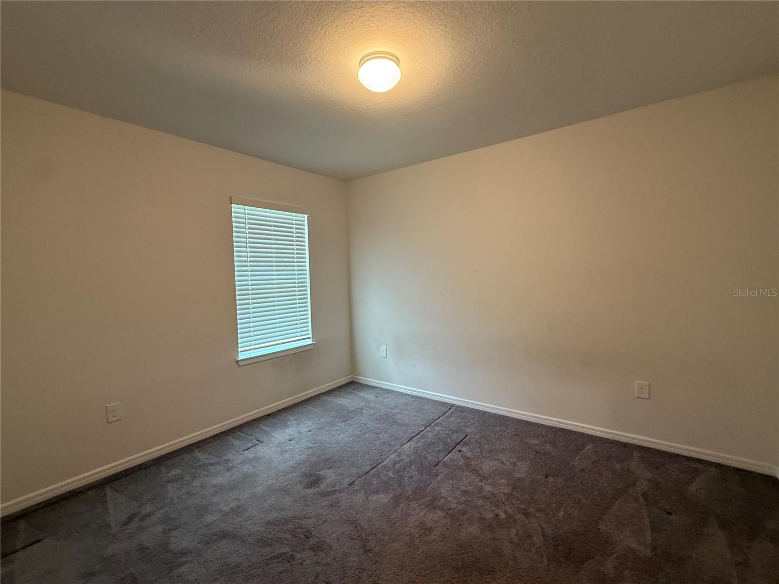 30596 THUNDERBIRD DR, WESLEY CHAPEL, FL, 33545