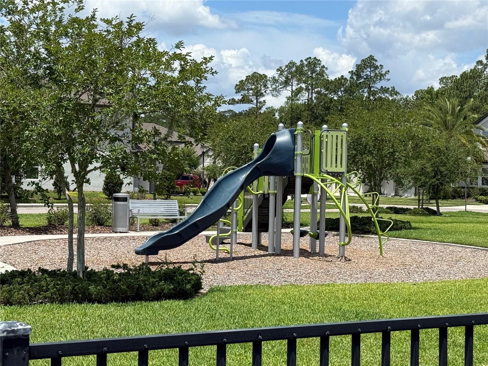 30596 THUNDERBIRD DR, WESLEY CHAPEL, FL, 33545