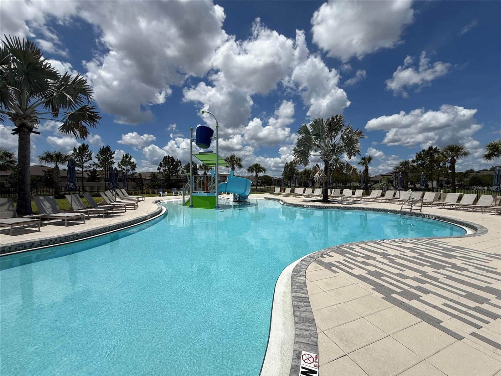 30596 THUNDERBIRD DR, WESLEY CHAPEL, FL, 33545