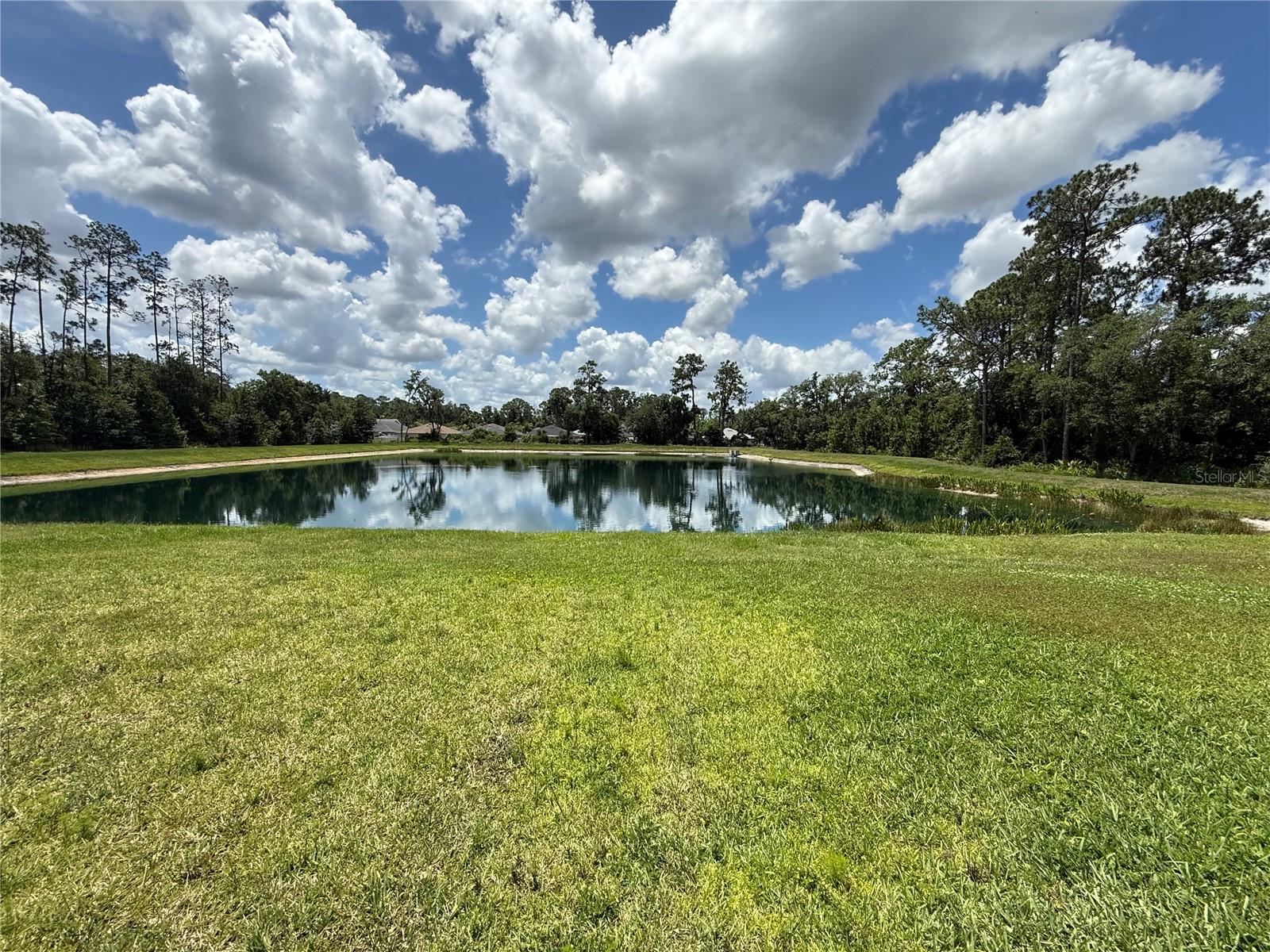30596 THUNDERBIRD DR, WESLEY CHAPEL, FL, 33545