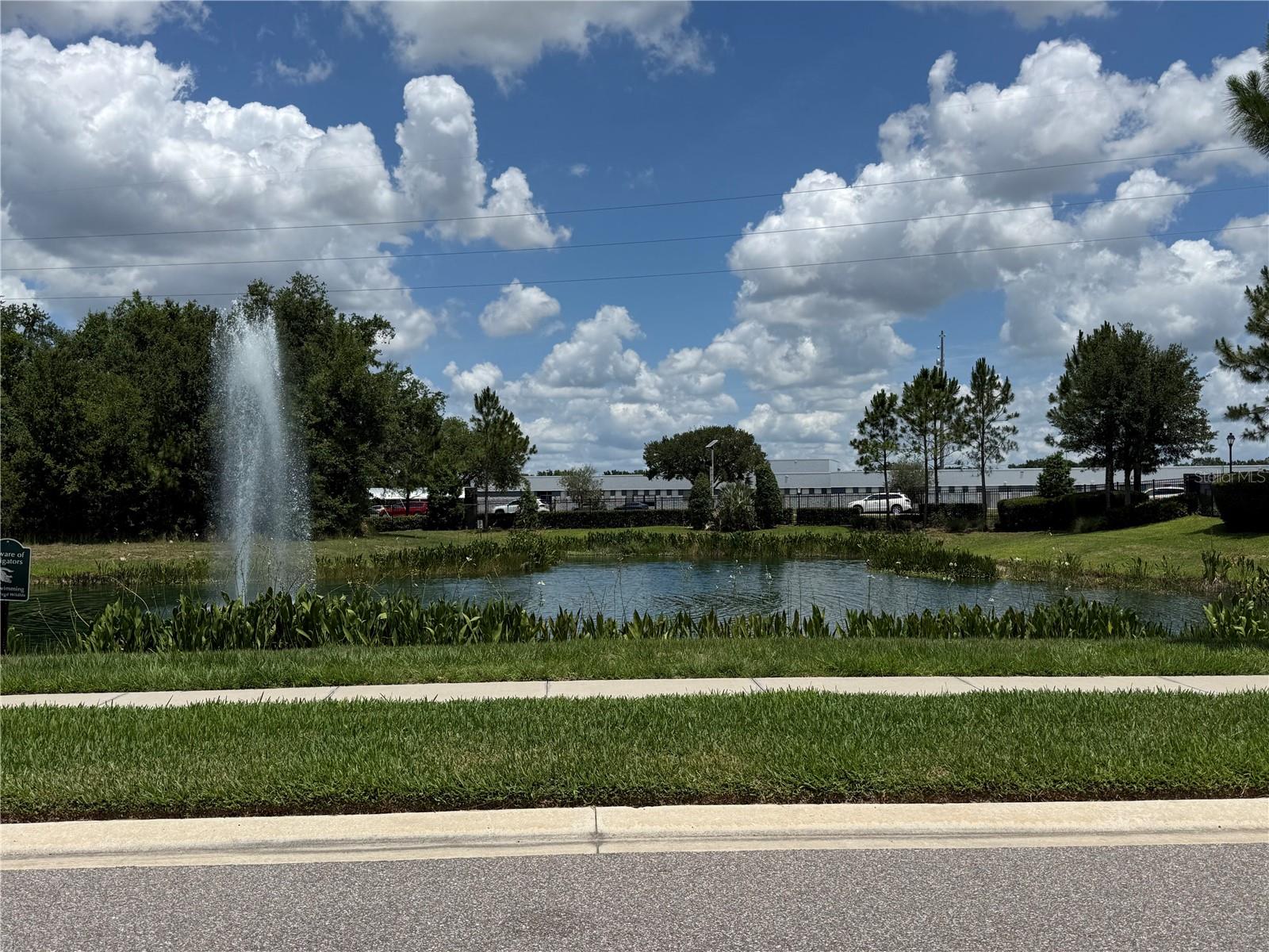 30596 THUNDERBIRD DR, WESLEY CHAPEL, FL, 33545