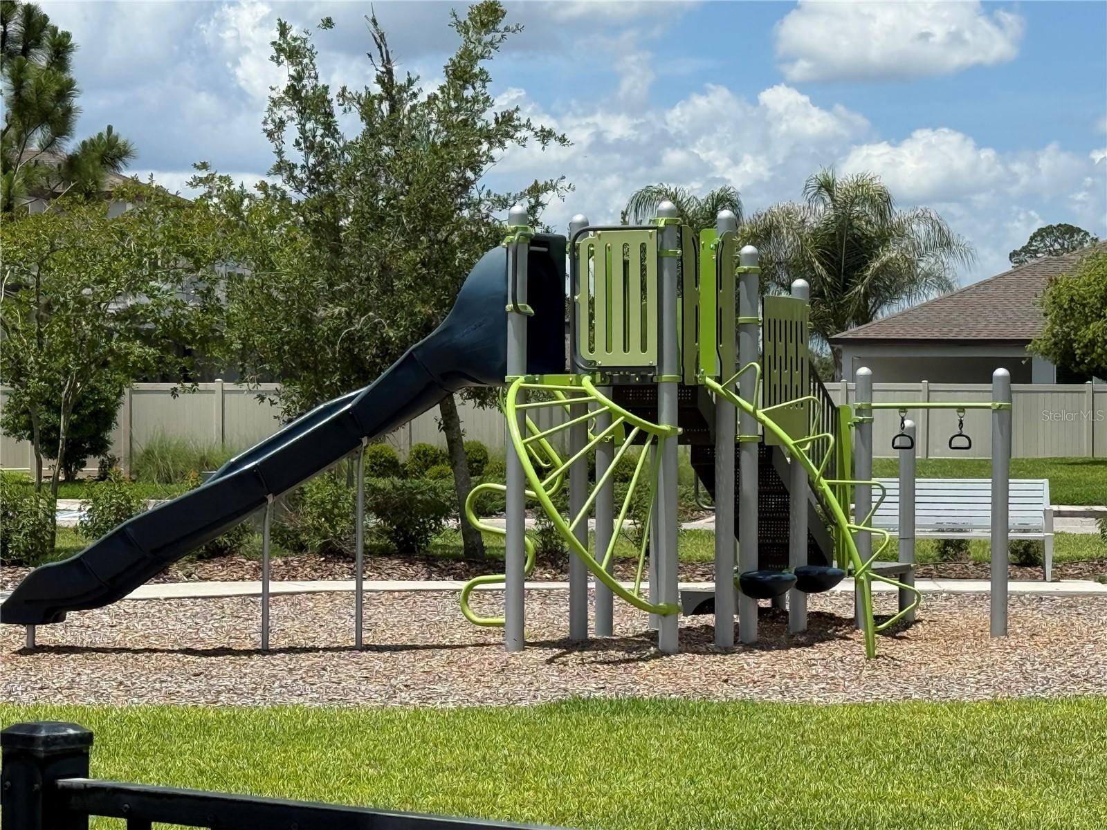 30596 THUNDERBIRD DR, WESLEY CHAPEL, FL, 33545