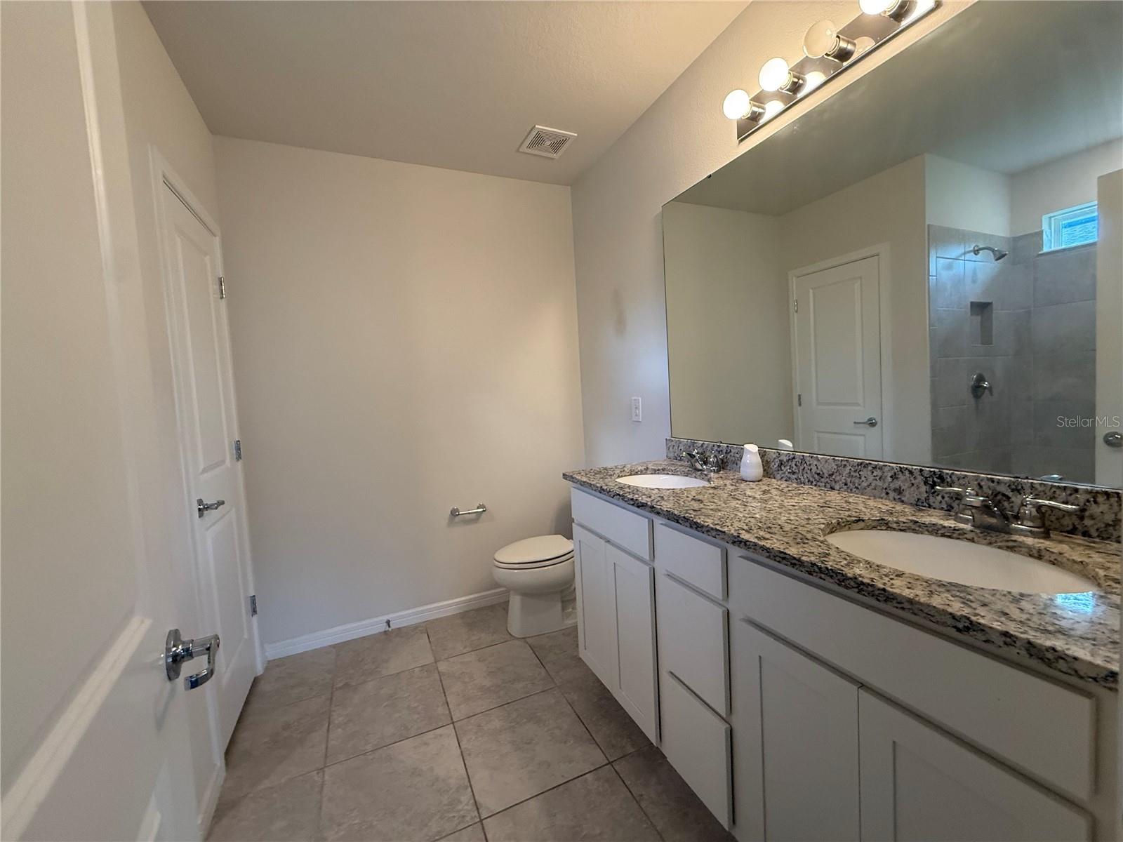 30596 THUNDERBIRD DR, WESLEY CHAPEL, FL, 33545