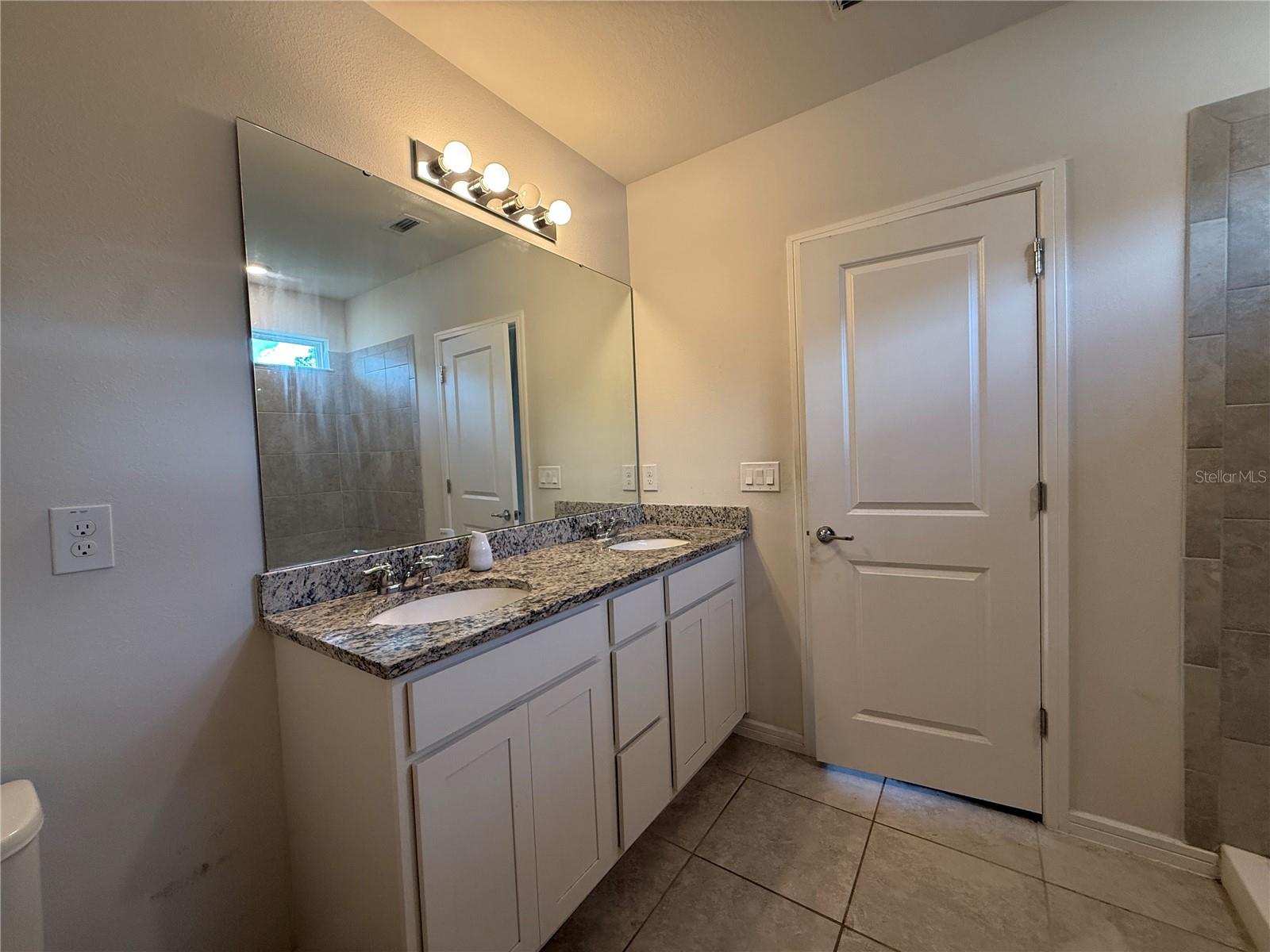 30596 THUNDERBIRD DR, WESLEY CHAPEL, FL, 33545