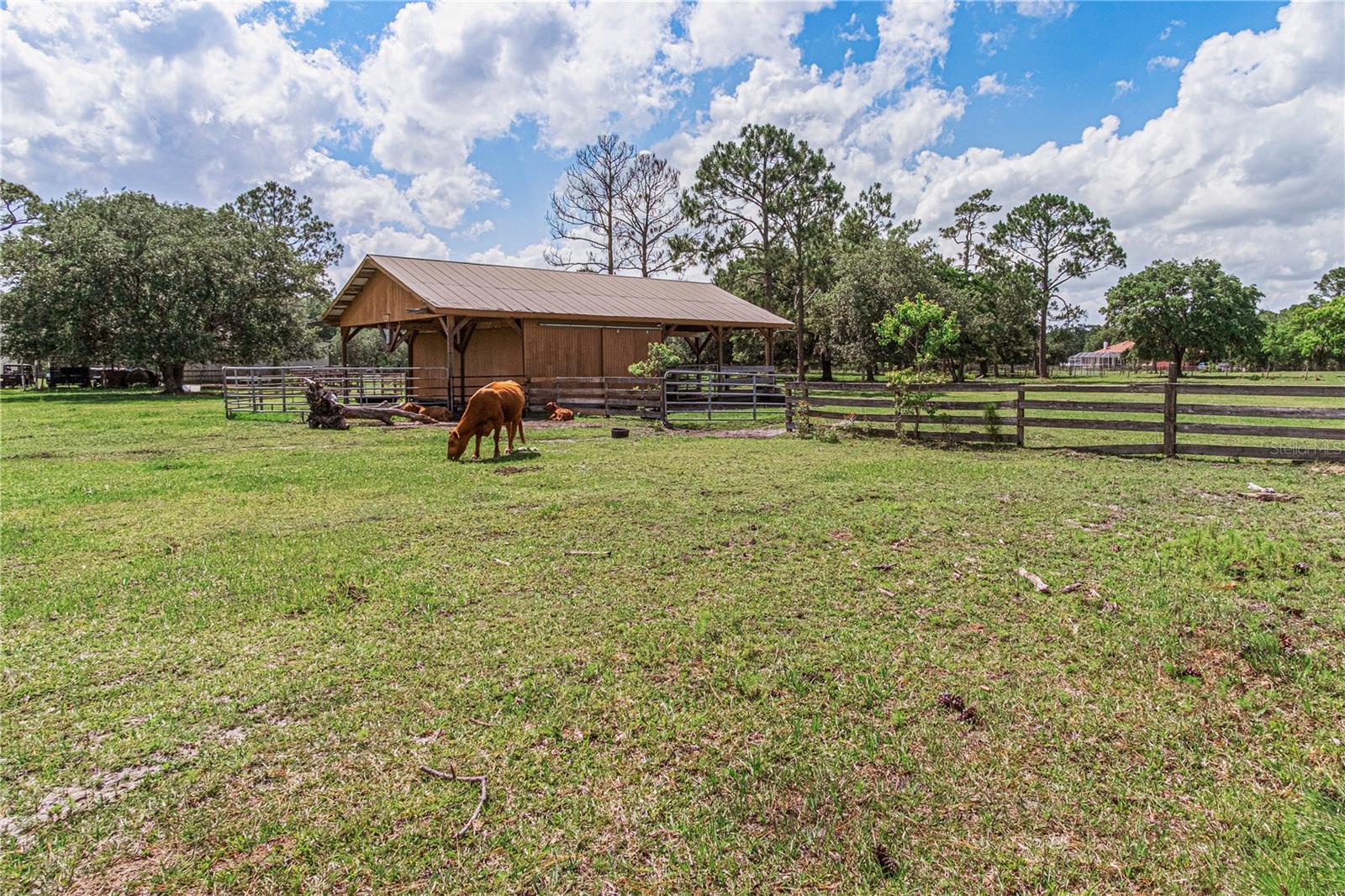 1140 SADDLE RUN, NEW SMYRNA BEACH, FL, 32168
