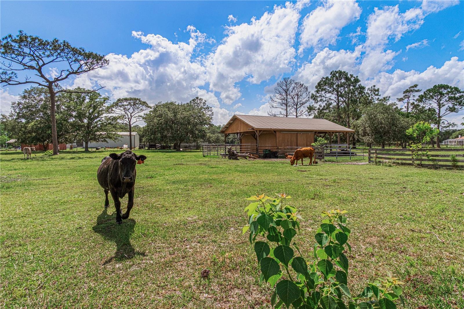 1140 SADDLE RUN, NEW SMYRNA BEACH, FL, 32168