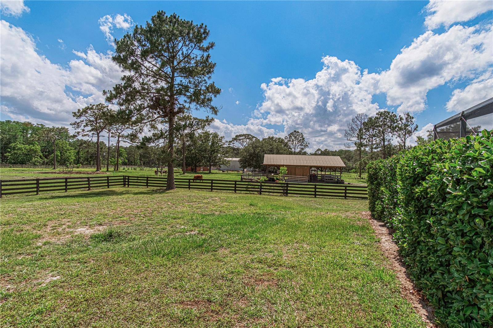 1140 SADDLE RUN, NEW SMYRNA BEACH, FL, 32168