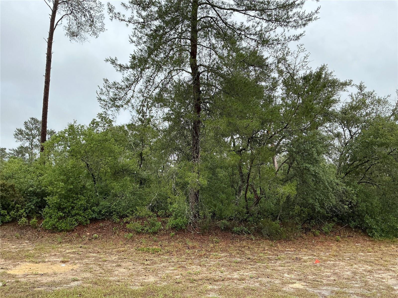 SW 20TH CT, OCALA, FL, 34473