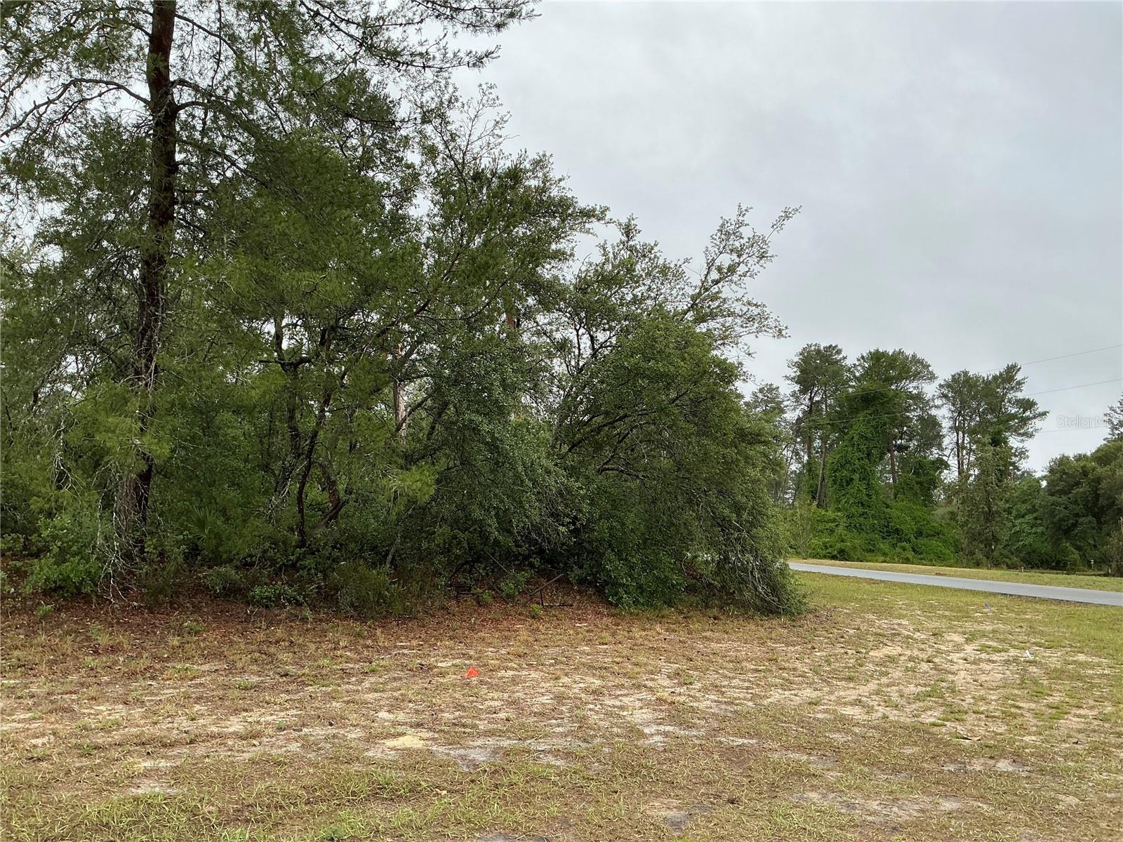 SW 20TH CT, OCALA, FL, 34473
