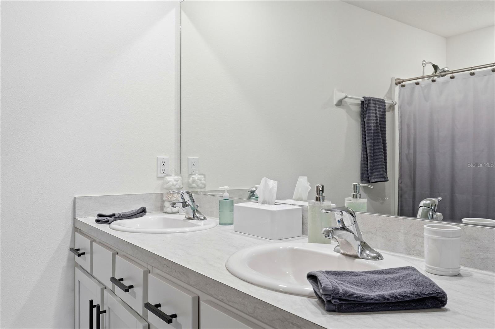 4110 DOVETAIL LN, PALMETTO, FL, 34221