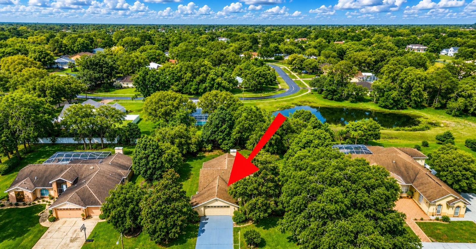 13094 HUNTINGTON WOODS AVE, SPRING HILL, FL, 34609