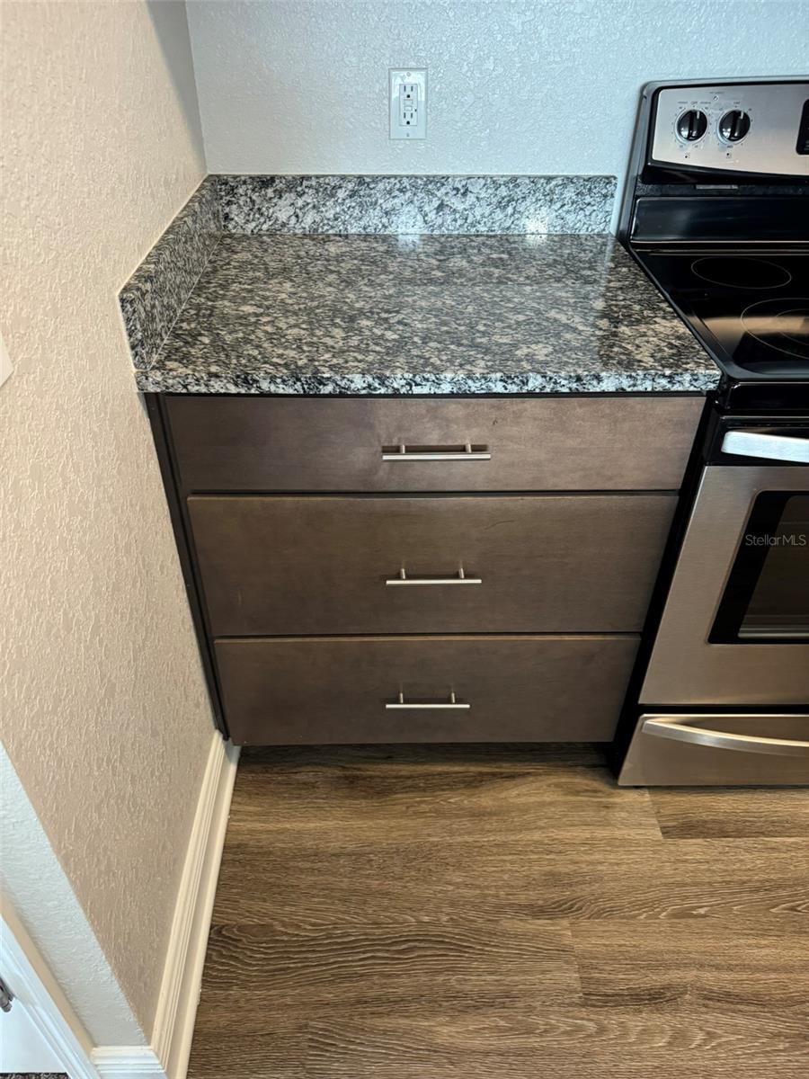 2420 ANN ROU RD #201, TAVARES, FL, 32778
