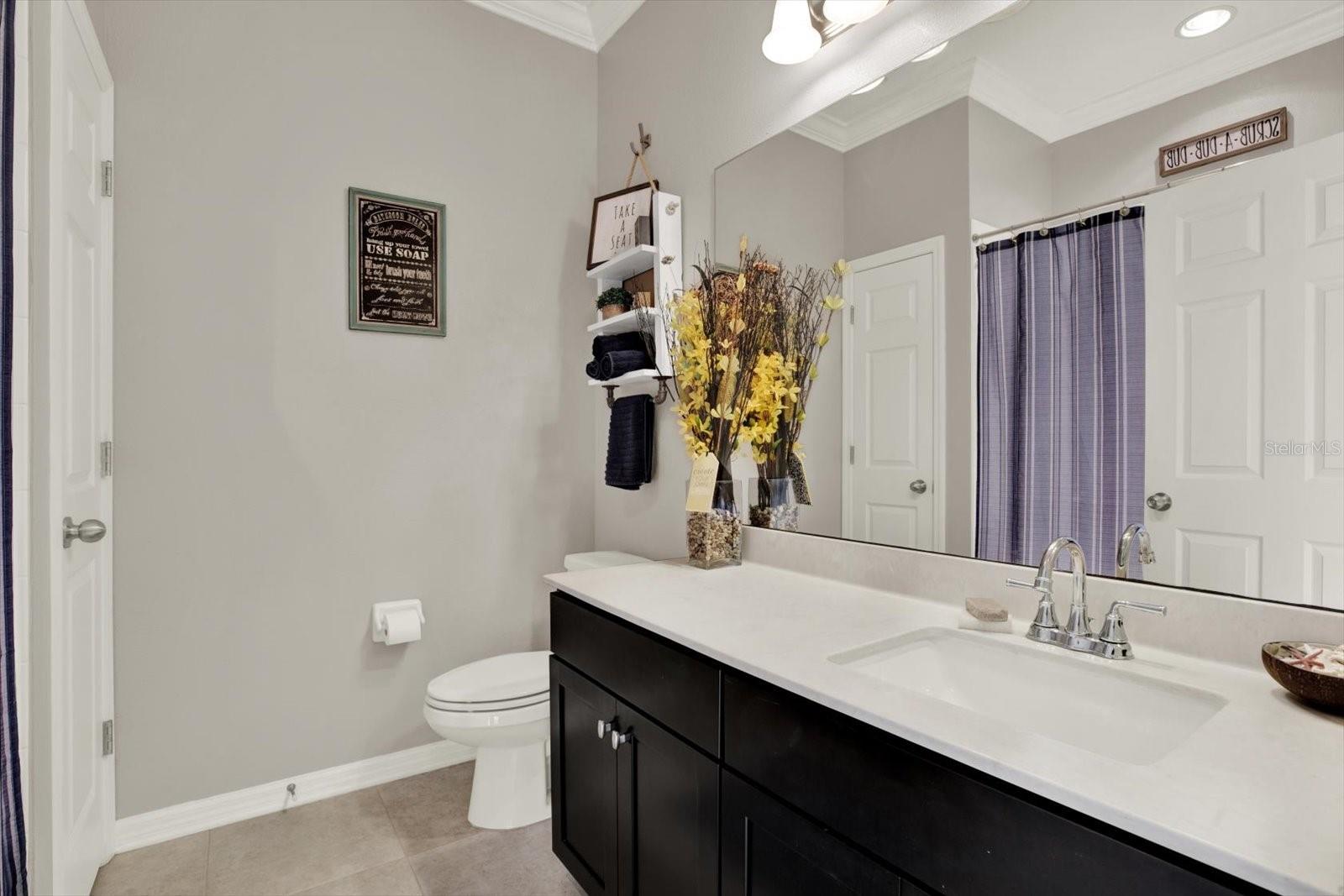 11513 BLUE CRANE ST, RIVERVIEW, FL, 33569