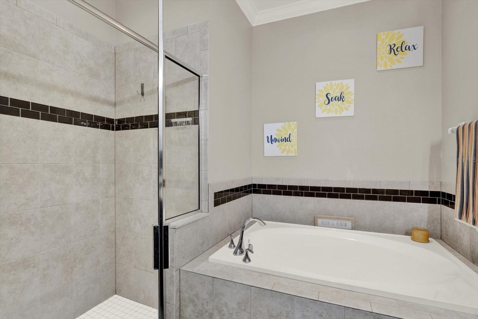 11513 BLUE CRANE ST, RIVERVIEW, FL, 33569
