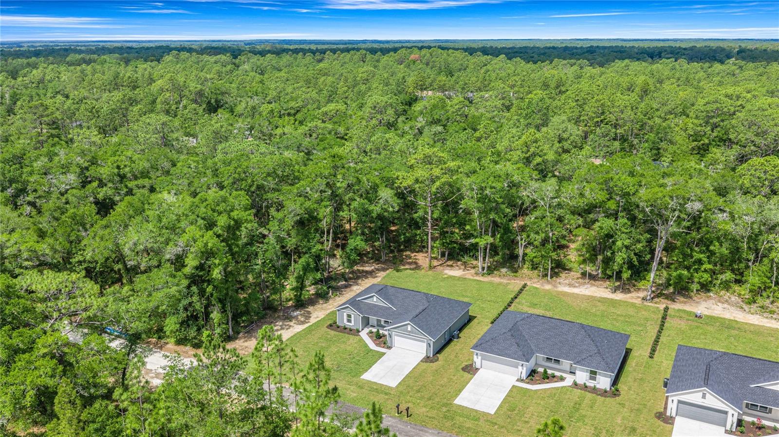 4056 SW 156TH CT, OCALA, FL, 34481