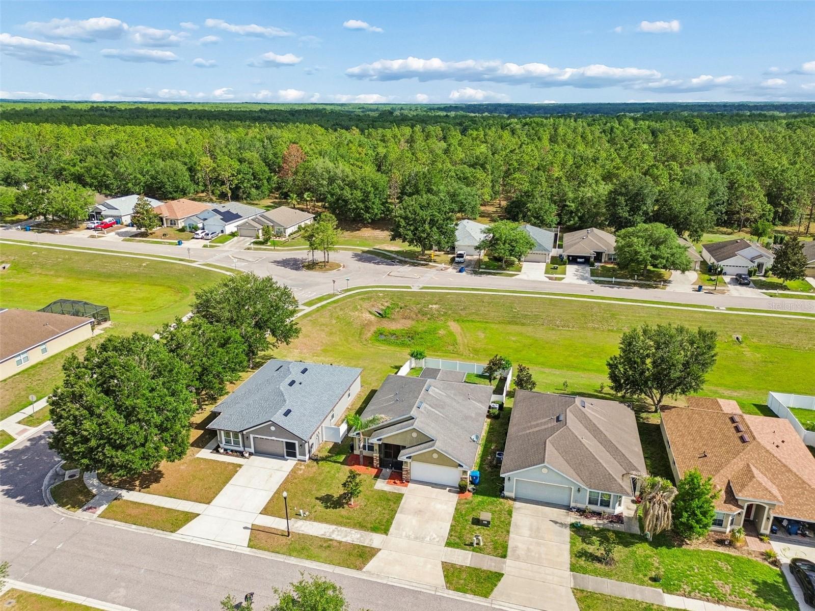 31153 WATER LILY DR, BROOKSVILLE, FL, 34602