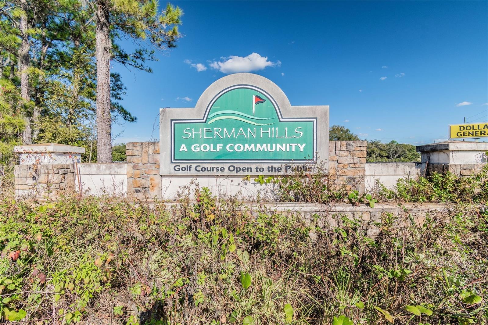 31153 WATER LILY DR, BROOKSVILLE, FL, 34602