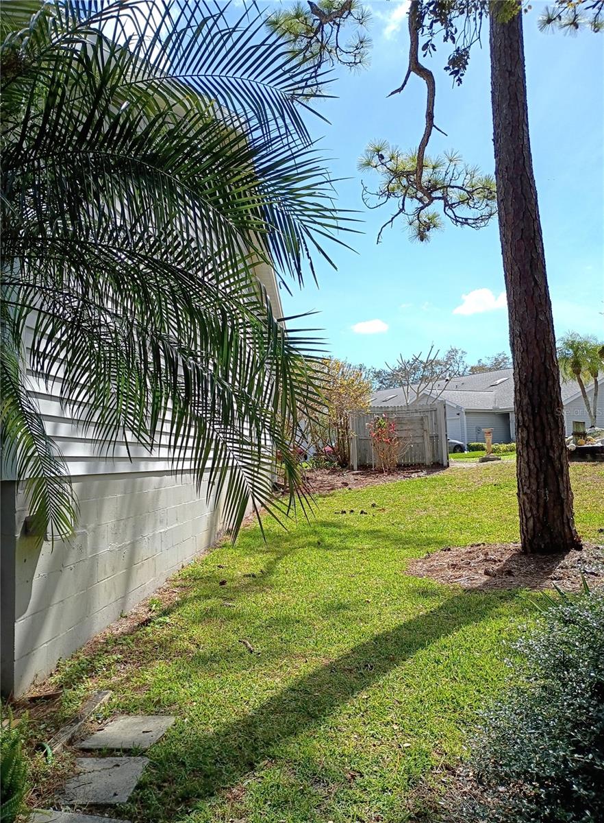 39650 US HIGHWAY 19 N #631, TARPON SPRINGS, FL, 34689