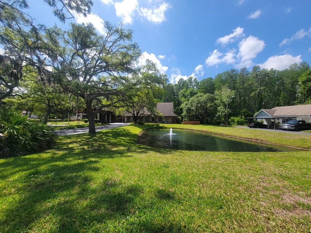 7635 BUITA DES MORTS, NEW PORT RICHEY, FL, 34654