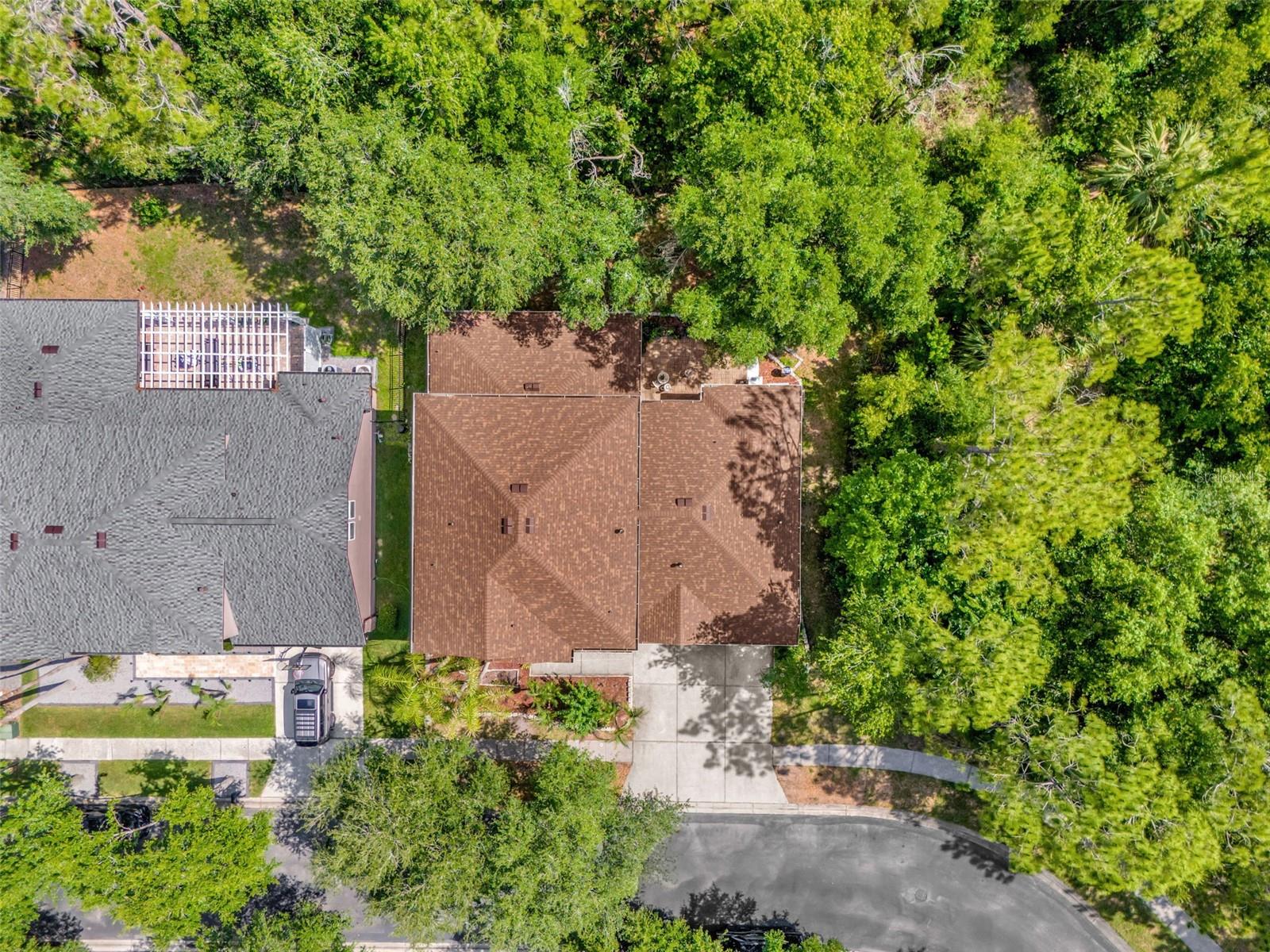 16117 COLCHESTER PALMS DR, TAMPA, FL, 33647