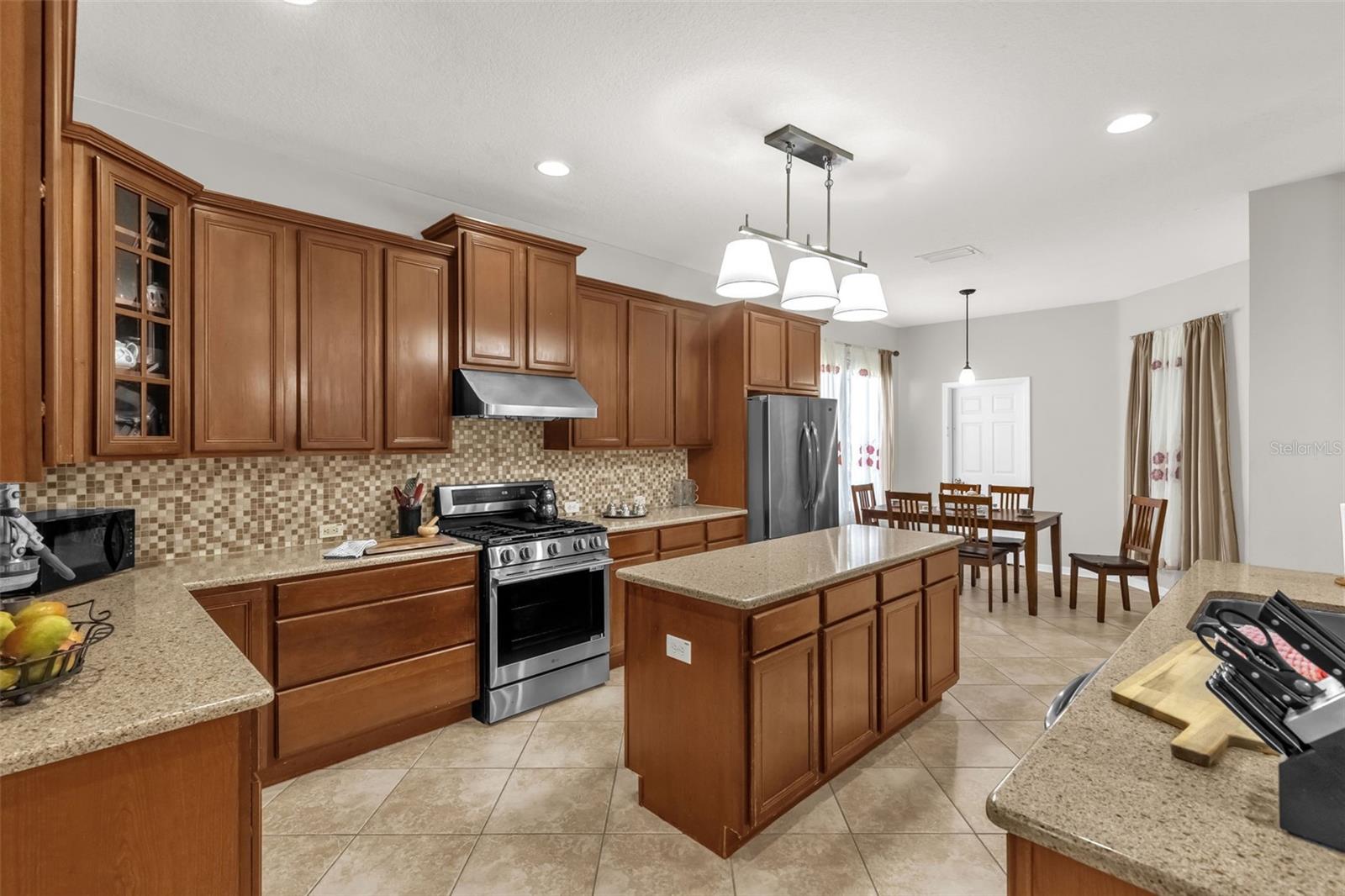 16117 COLCHESTER PALMS DR, TAMPA, FL, 33647