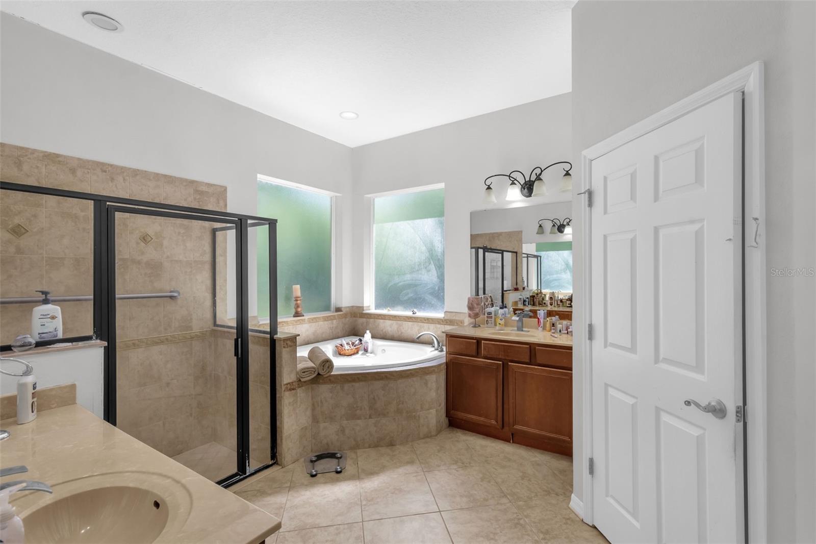 16117 COLCHESTER PALMS DR, TAMPA, FL, 33647