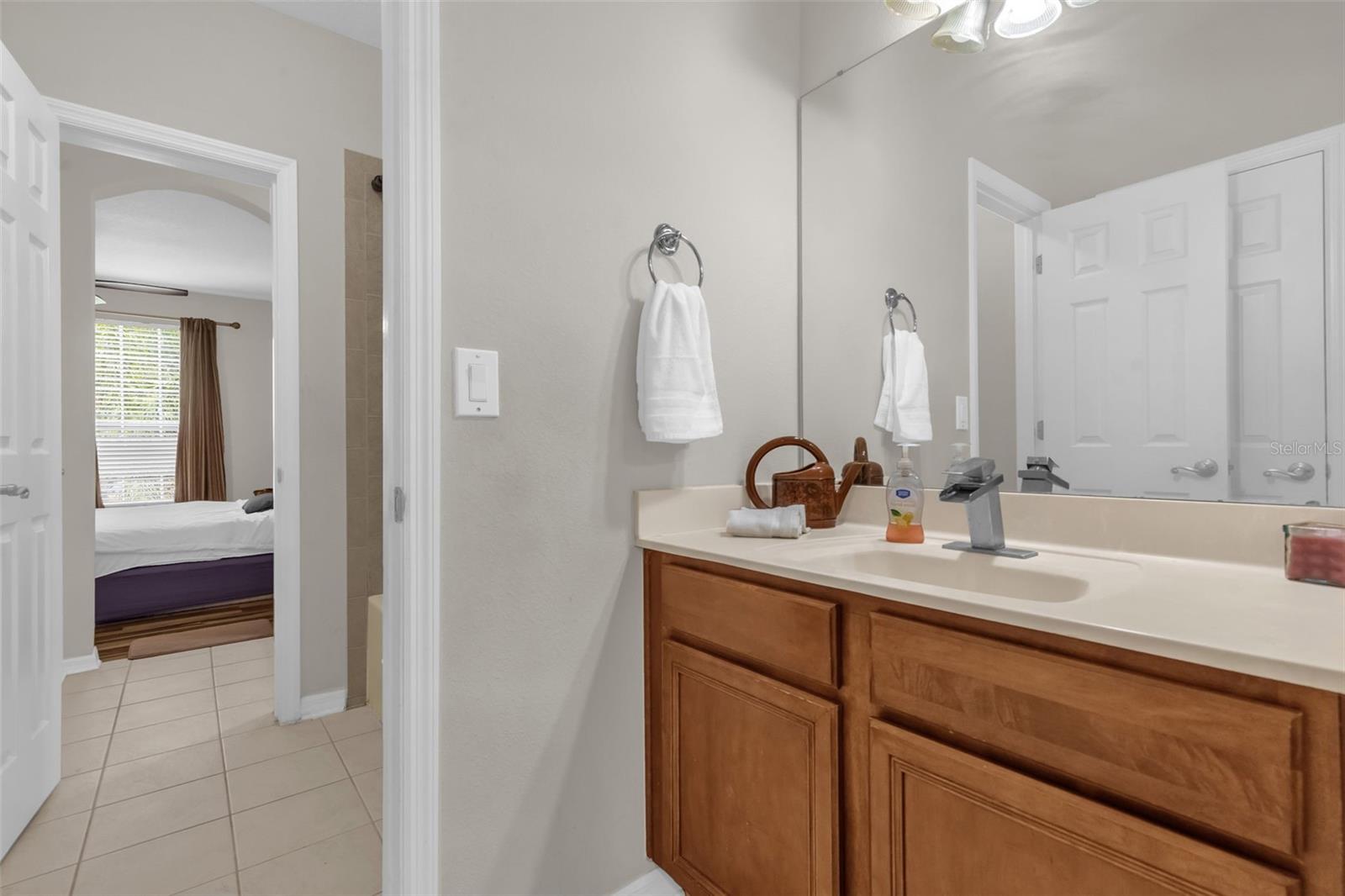 16117 COLCHESTER PALMS DR, TAMPA, FL, 33647