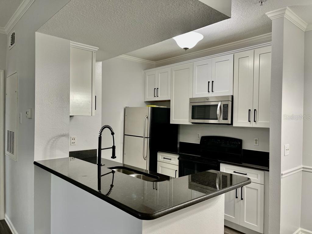 14316 FREDRICKSBURG DR #514, ORLANDO, FL, 32837